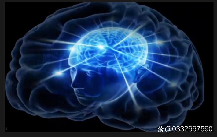某综艺节目录制现场突发意外，参赛选手当场晕倒送医，节目组回应称系过度疲劳所致